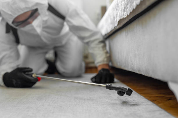 Professional Bed Bug Control technician working in New Bern, NC