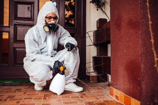 Reliable Bed Bug Control contractor in New Bern, NC by Nex Pest Control